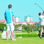 article image - 